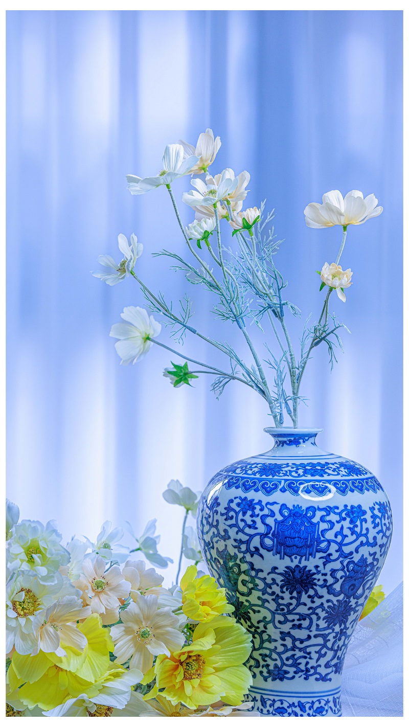 静物花卉4